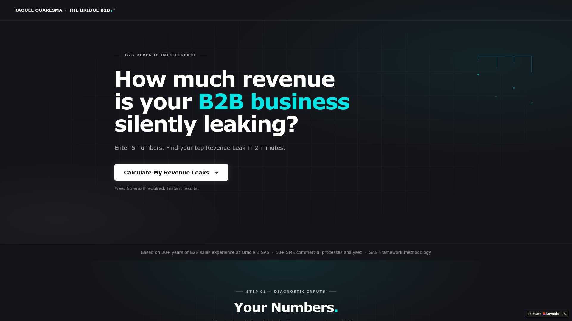 Revenue Leak Calculator — interactive B2B revenue intelligence tool.